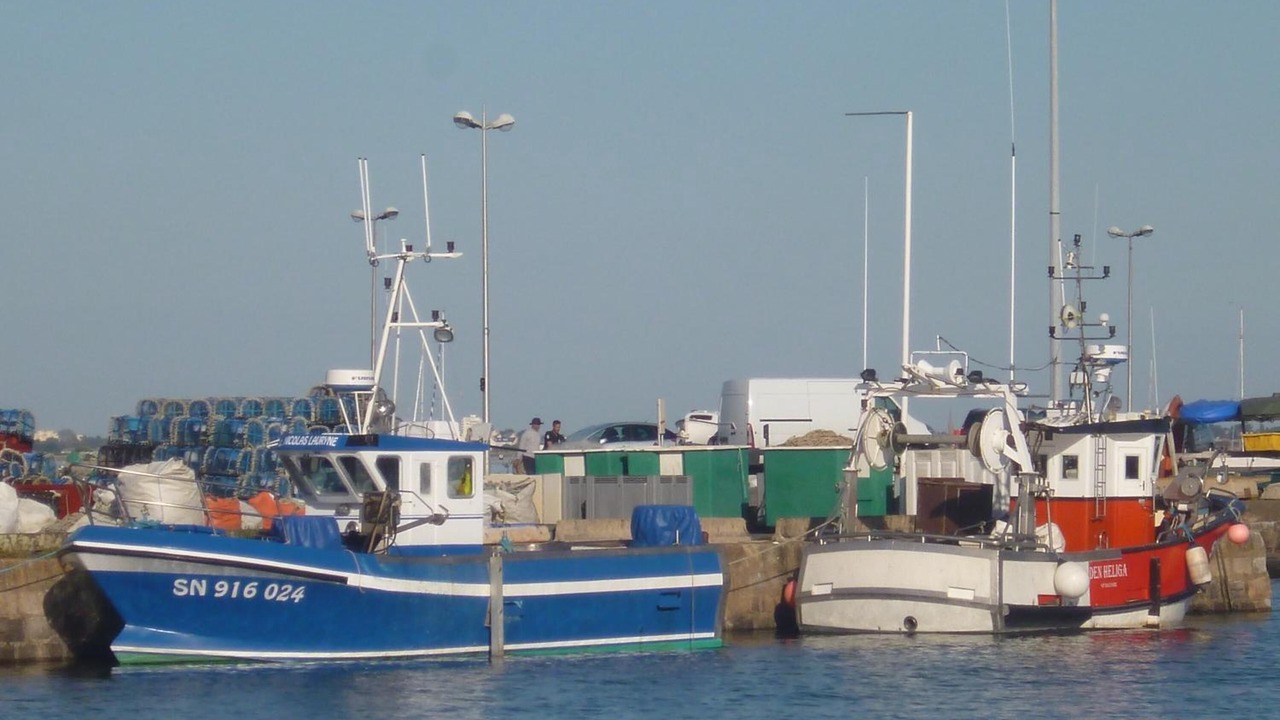 Photo of Outdoor in Batz-sur-Mer