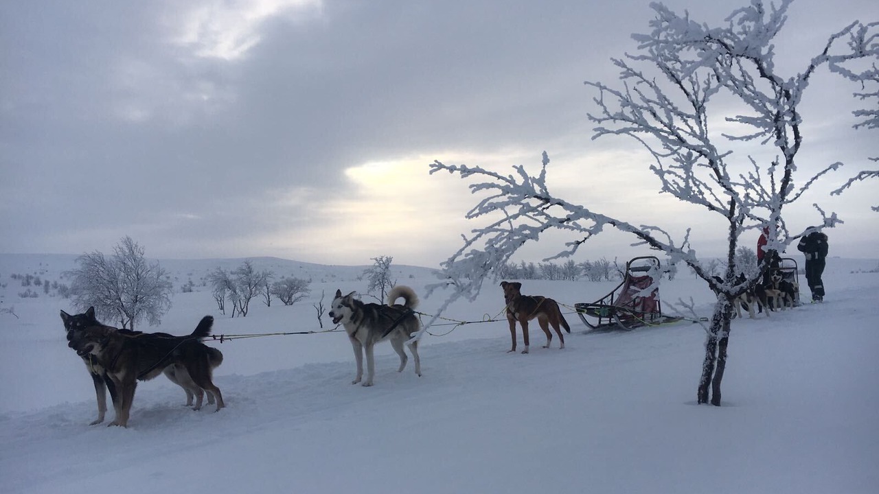 Photo of Others in Mount Buller