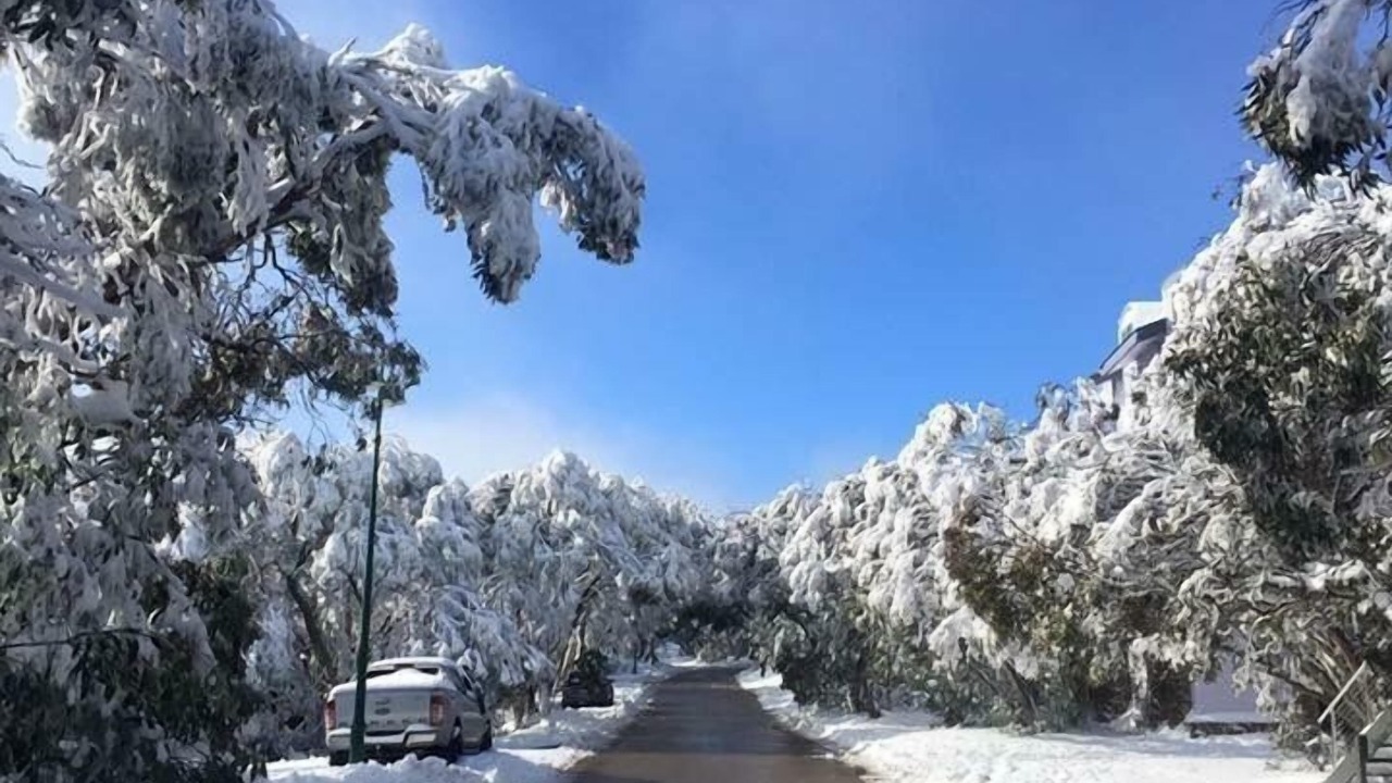 Photo of Outdoor in Mount Buller