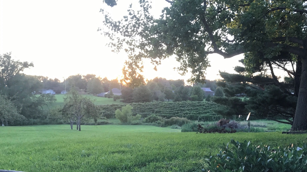 Photo of Outdoor in Nauvoo