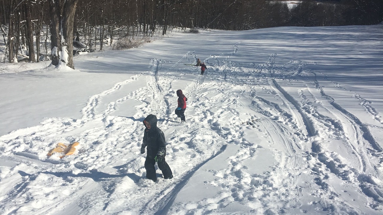 Photo of Others in White Mills