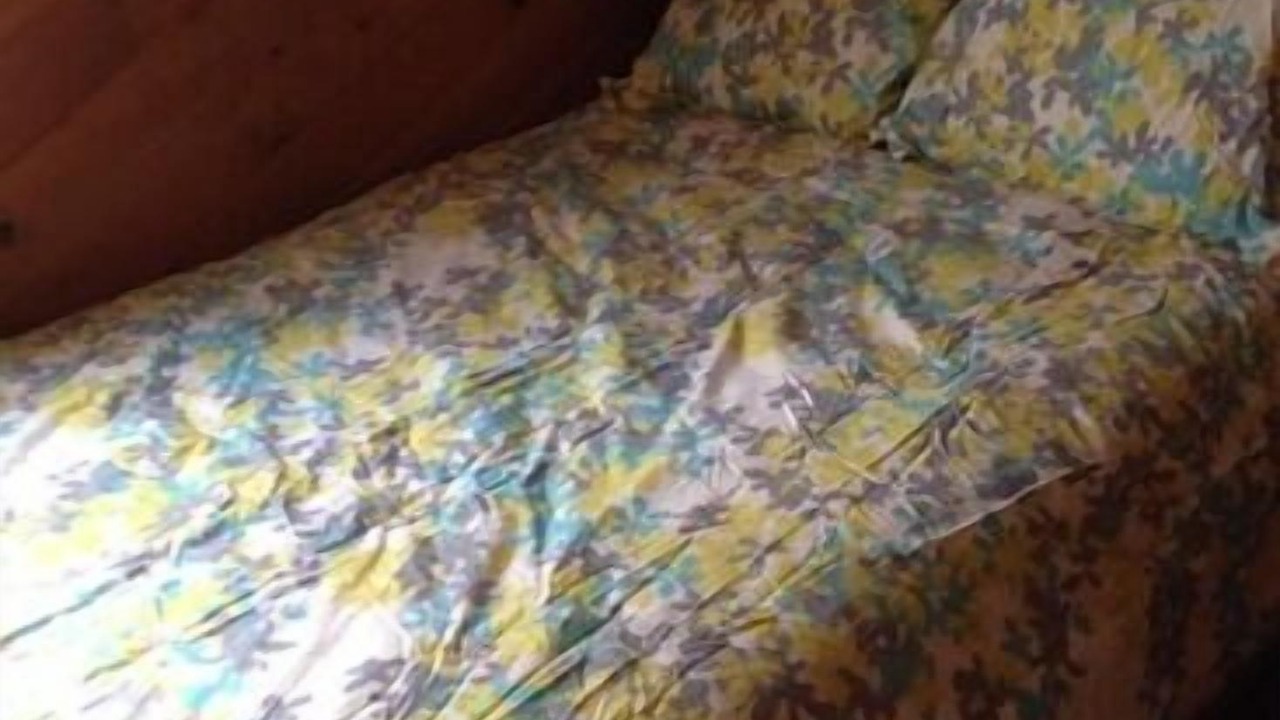 Photo of Others in White Mills