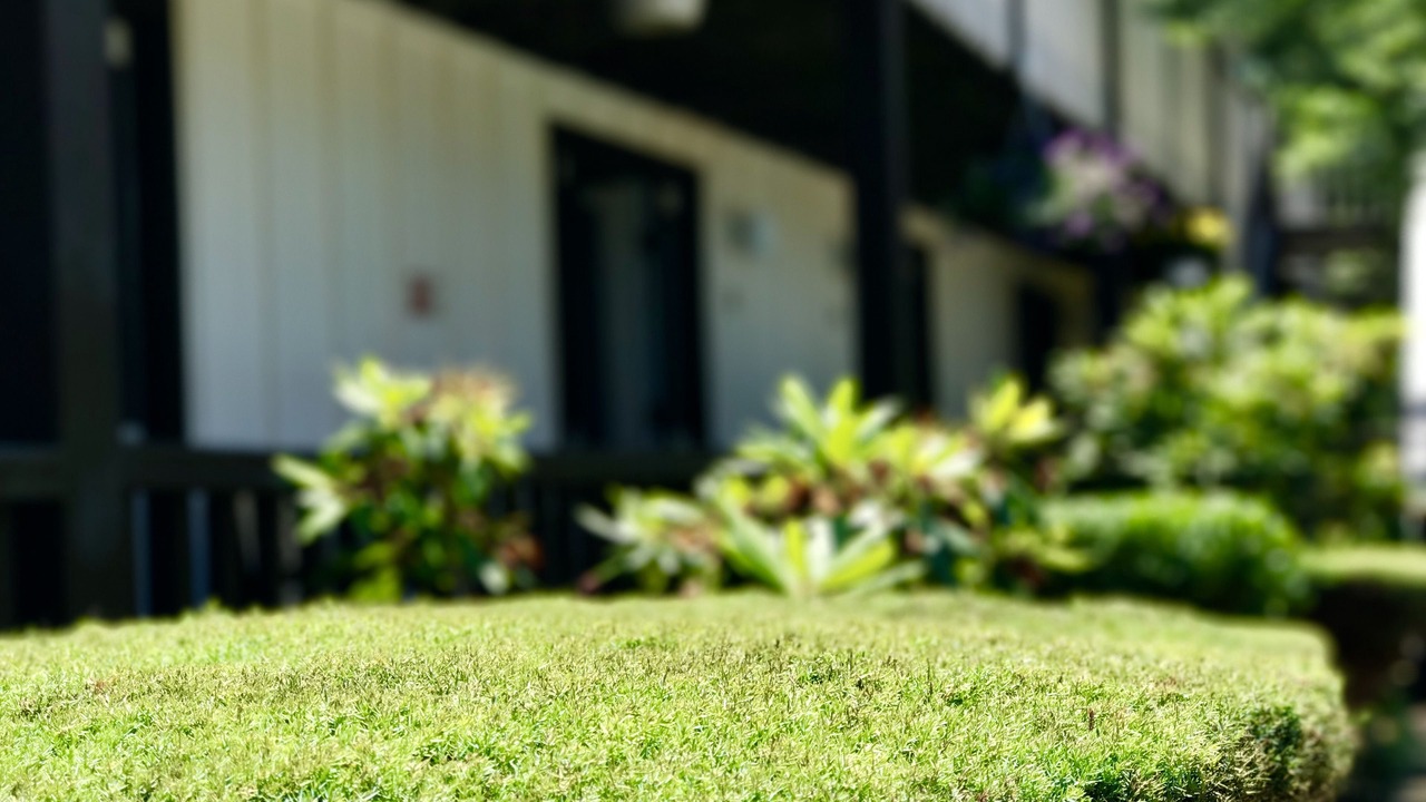 Photo of Outdoor in Culloden Shores