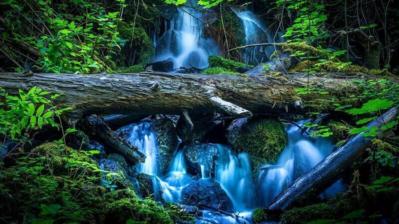 Photo of Outdoor in Shady Cove