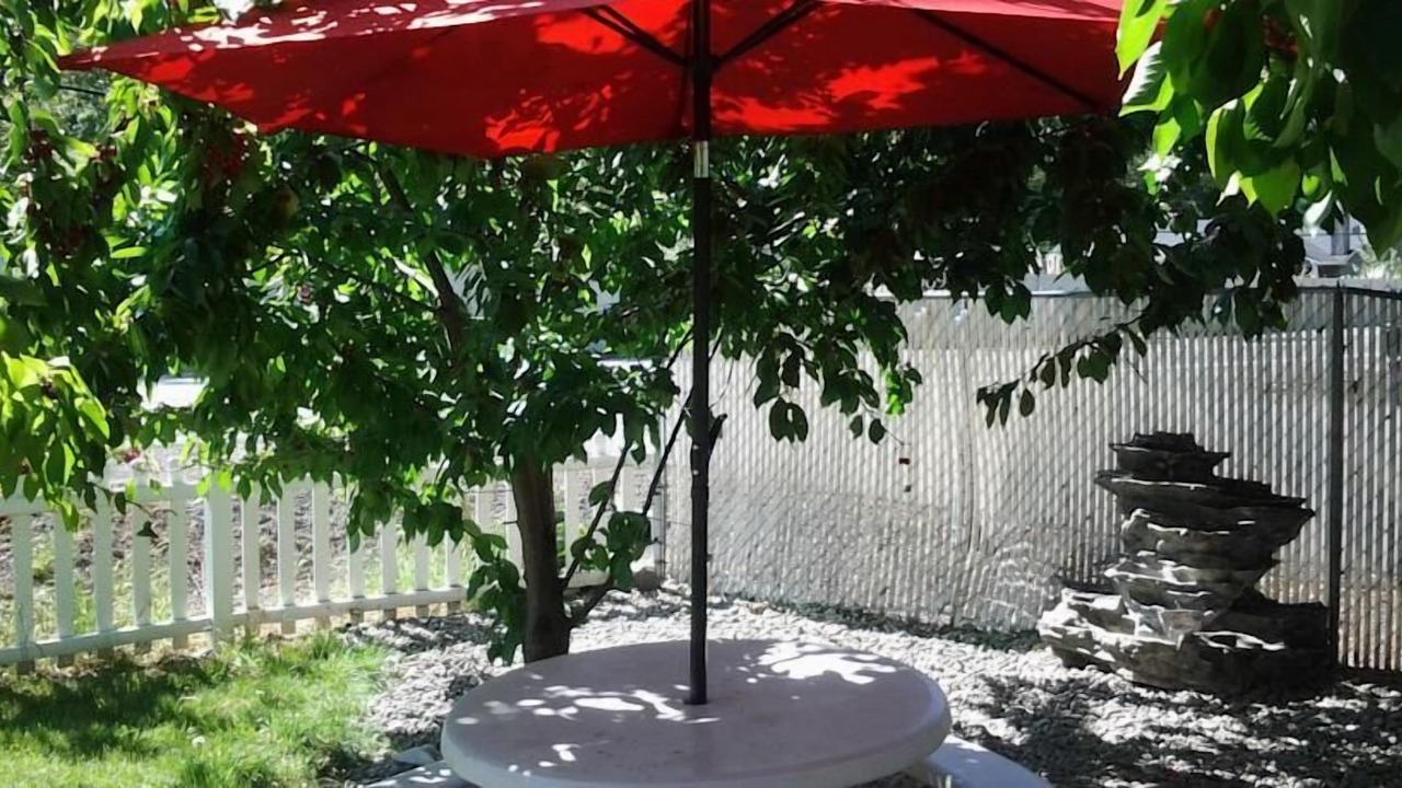 Photo of Outdoor in Shady Cove