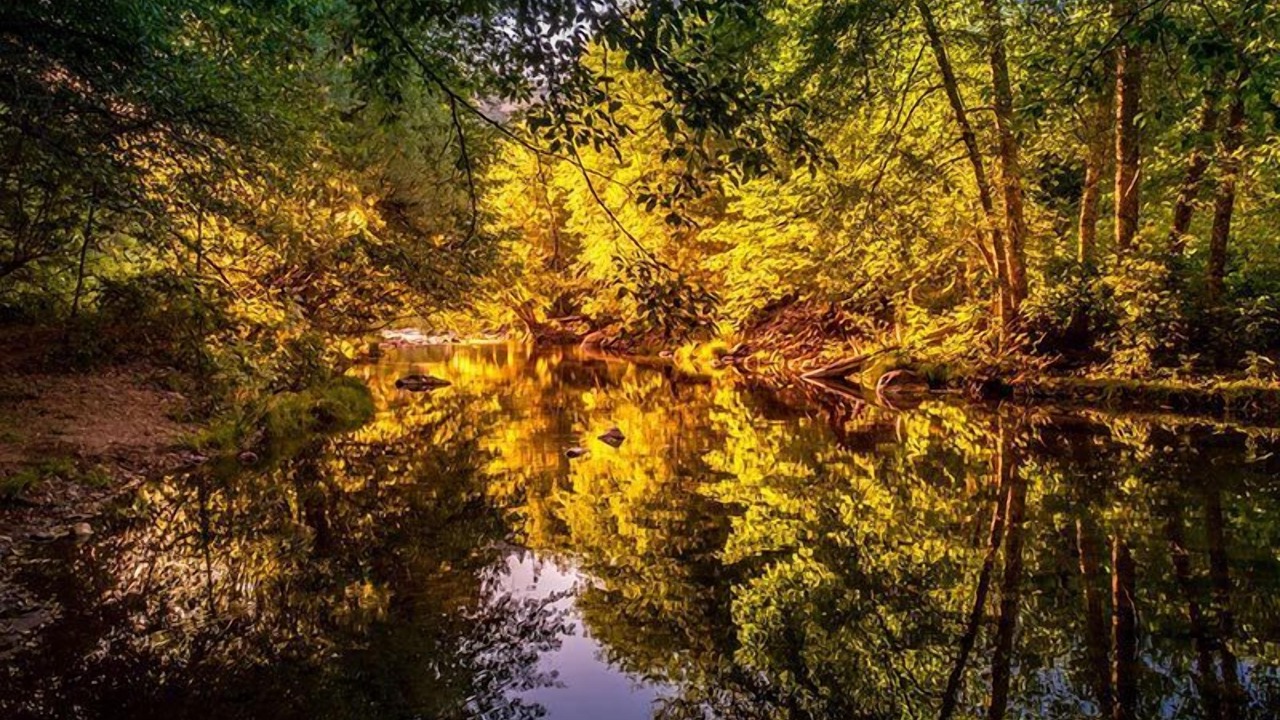 Photo of Others in Shady Cove
