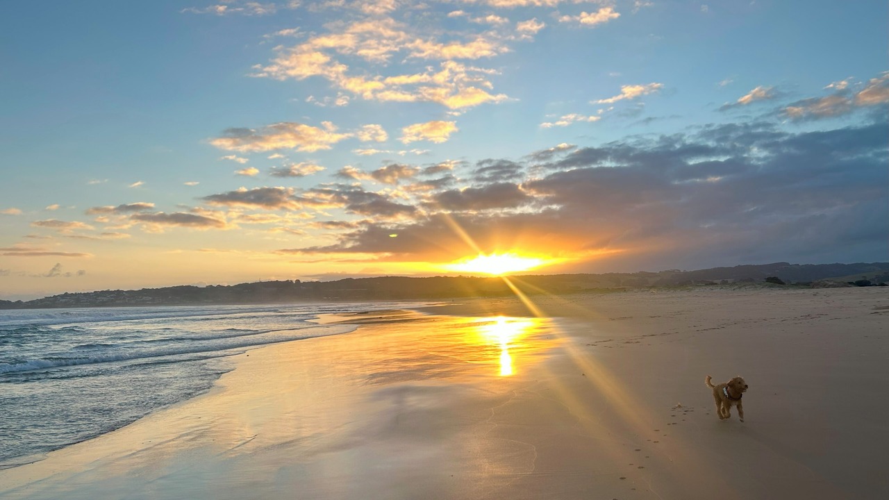 Photo of Outdoor in Apollo Bay
