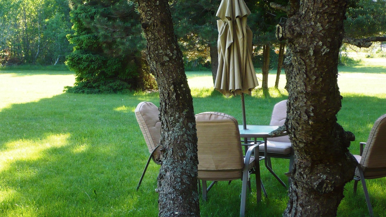 Photo of Outdoor in Iron Bridge