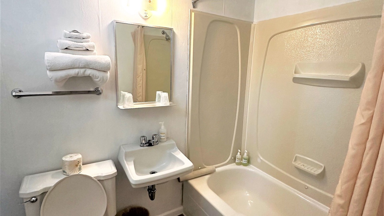 Photo of Bathroom in Iron Bridge