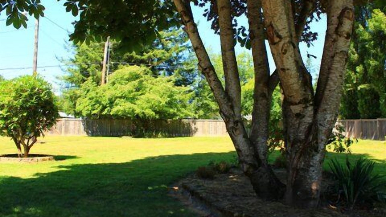 Photo of Outdoor in Gold Bar