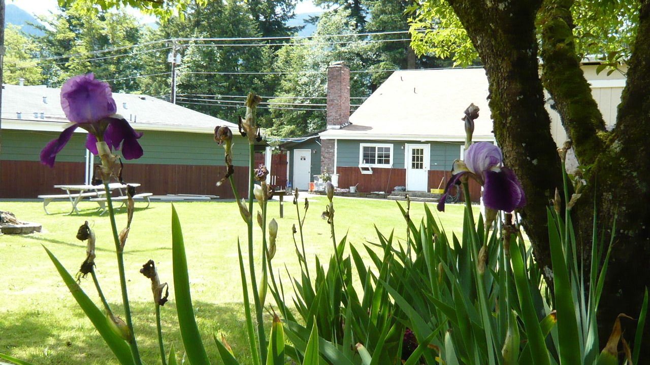 Photo of Outdoor in Gold Bar