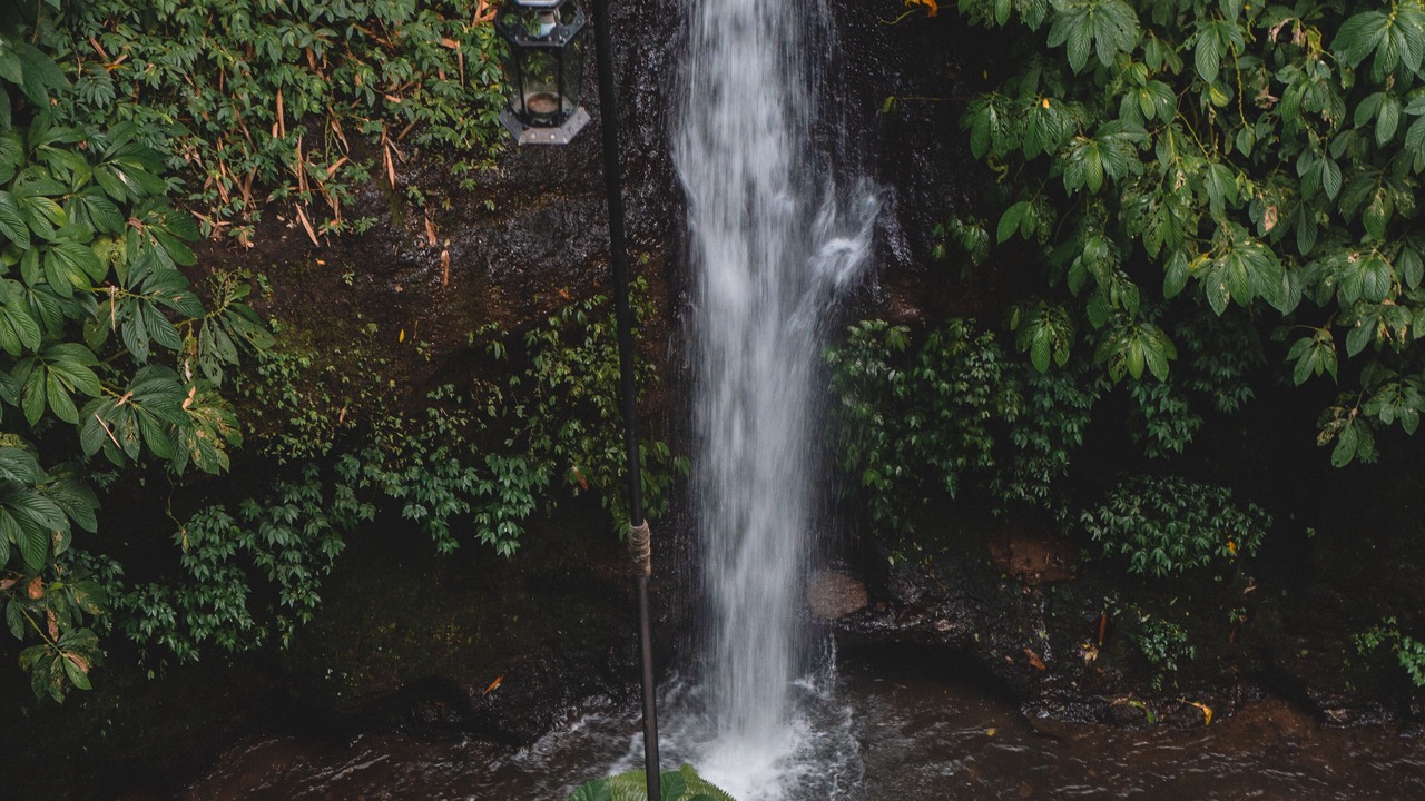Photo of Others in Melayang