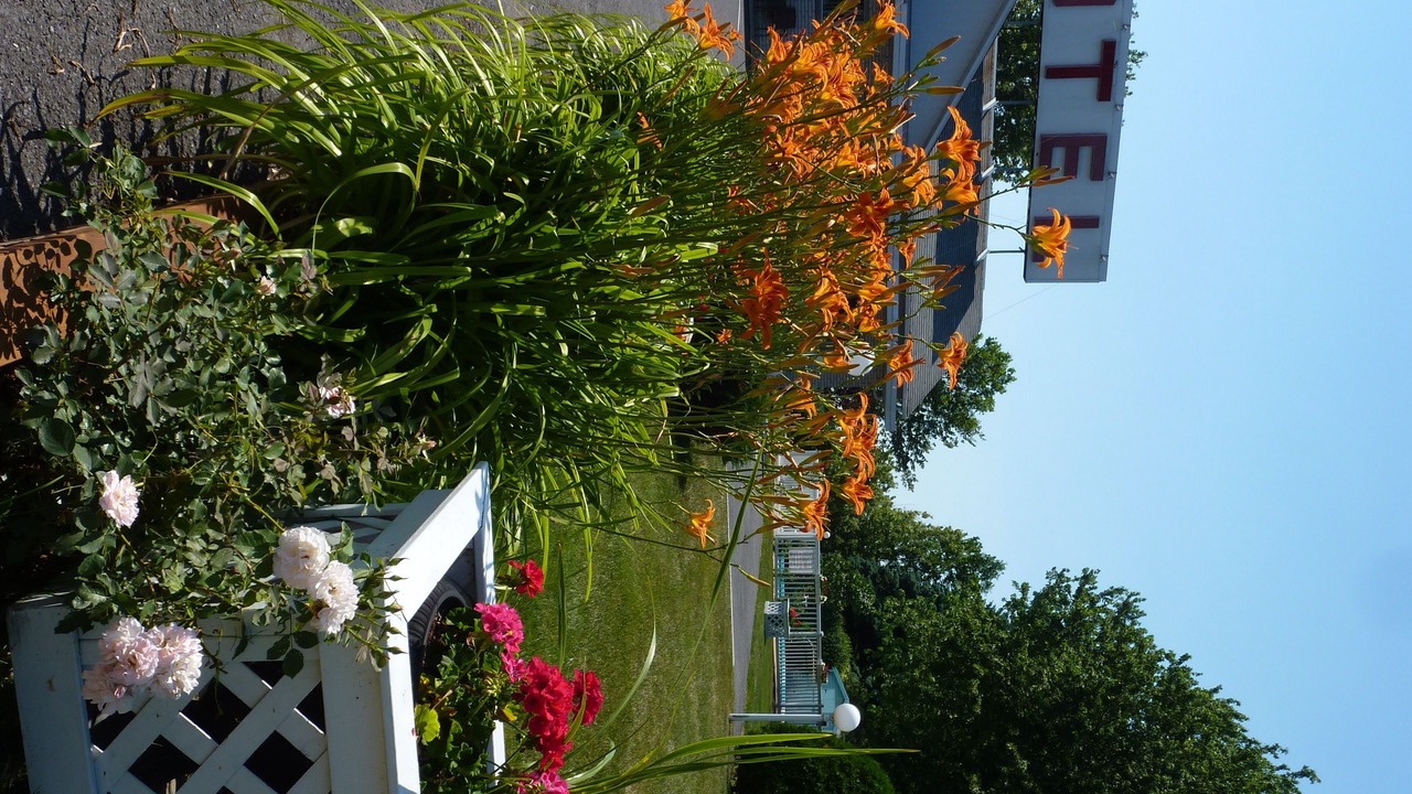 Photo of Outdoor in Saint-Jean-Sur-Richelieu