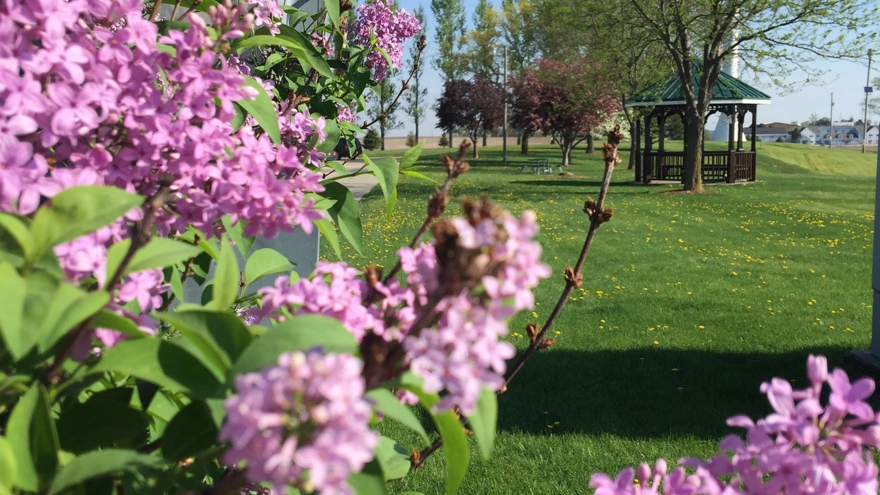 Photo of Outdoor in Williamsburg