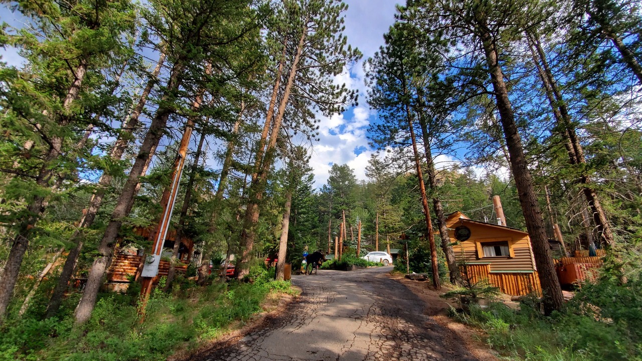 Photo of Others in Estes Park