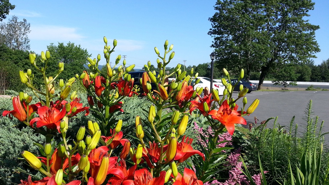 Photo of Outdoor in St George