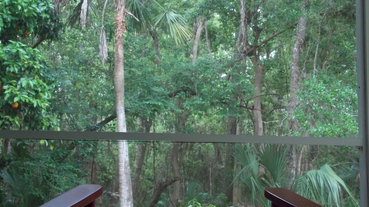 Photo of Others in Cassadaga