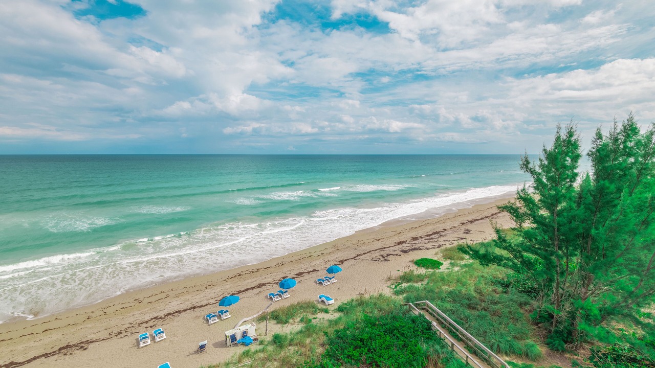Photo of Others in Hutchinson Island South