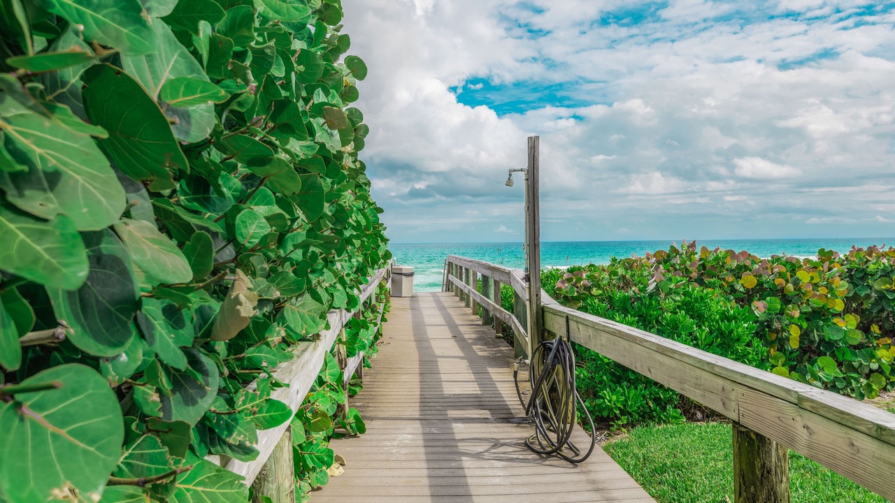 Photo of Outdoor in Hutchinson Island South