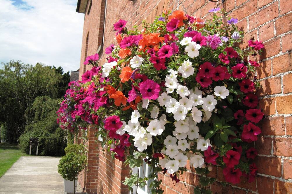 Photo of Outdoor in Bromfield