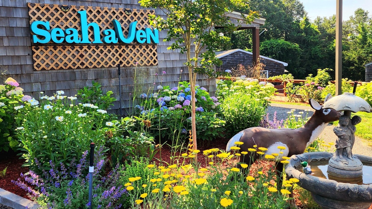 Photo of Outdoor in Shinnecock Hills