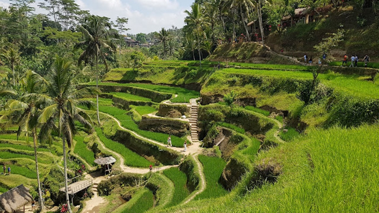 Photo of Others in Kedewatan