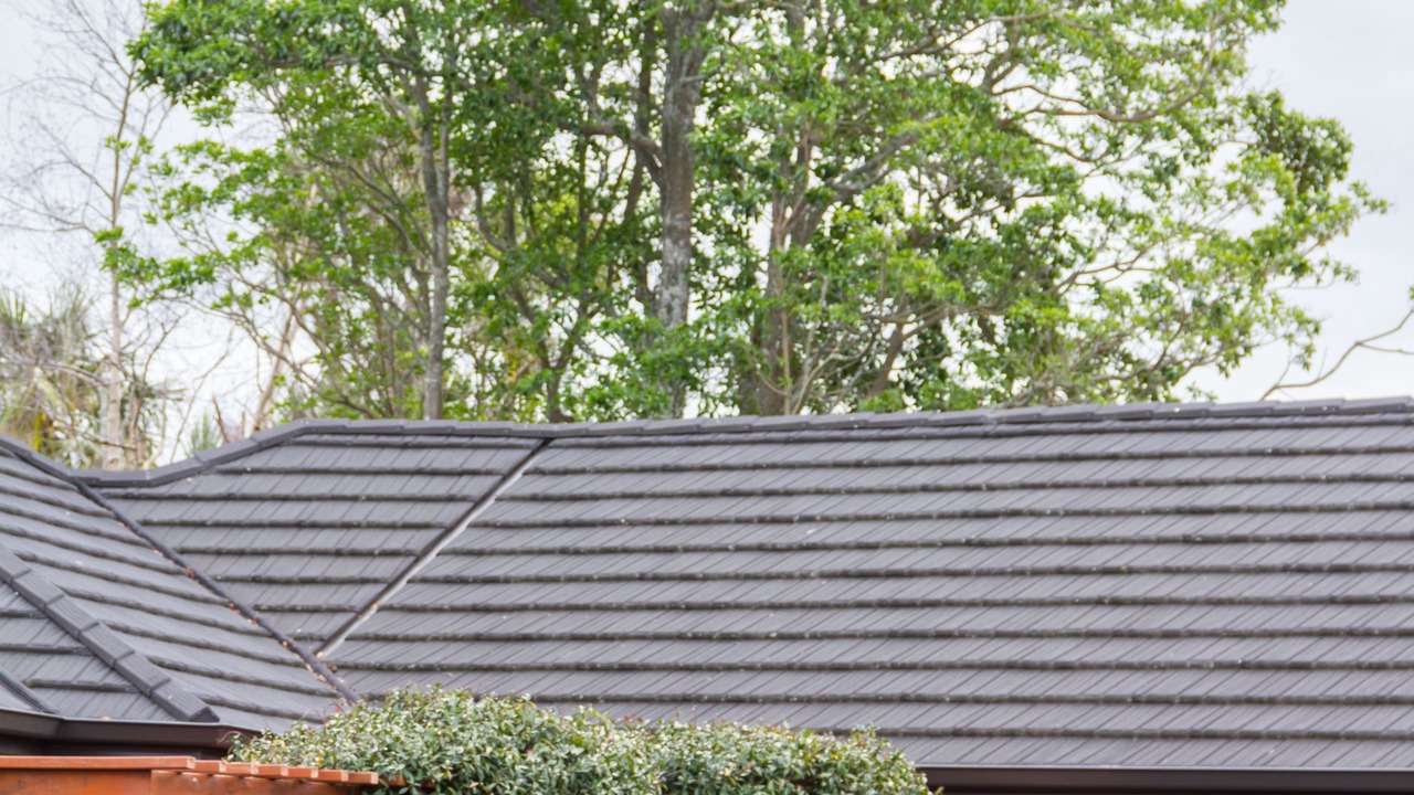 Photo of Others in Hamilton East