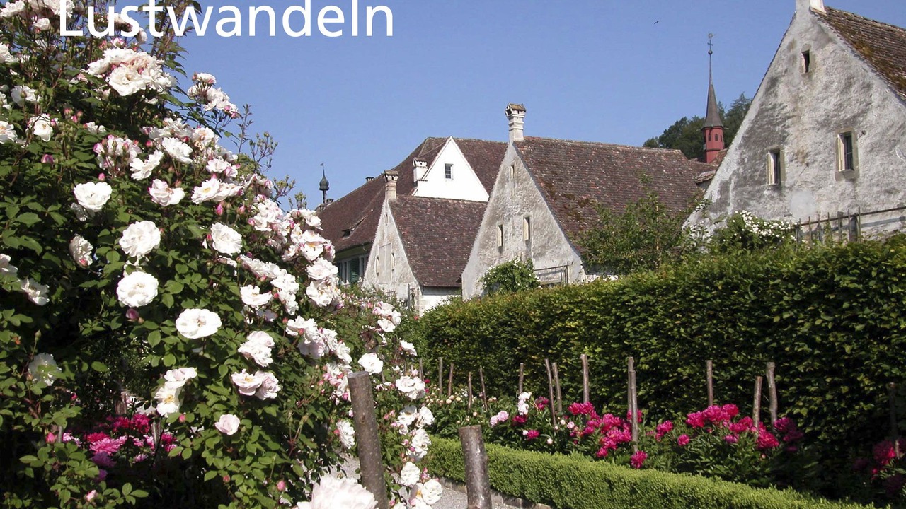 Photo of Buildings in Warth-Weiningen