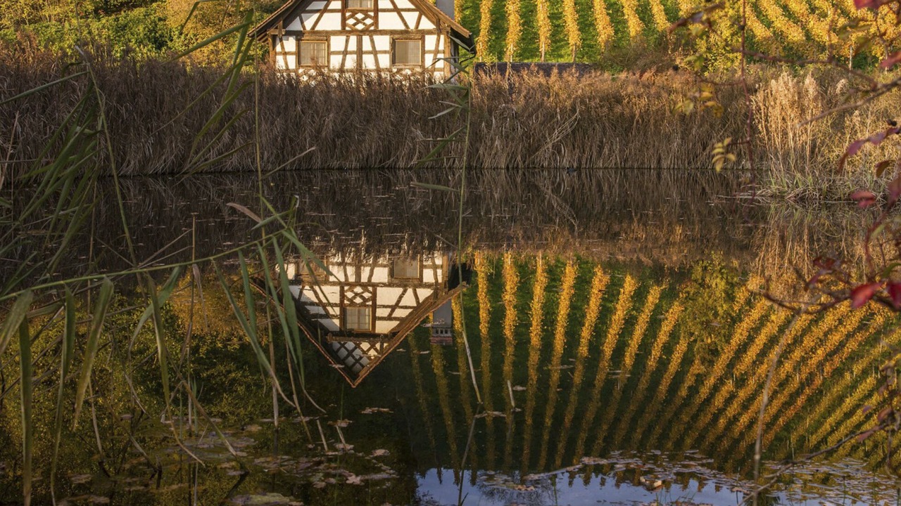 Photo of Outdoor in Warth-Weiningen
