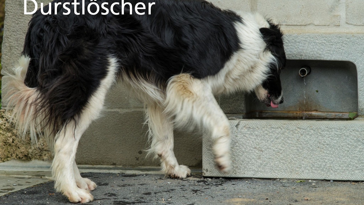 Photo of Others in Warth-Weiningen