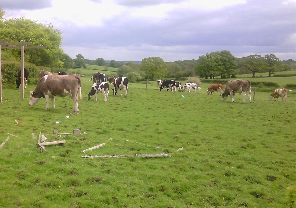 Photo of Others in Moreton Morrell