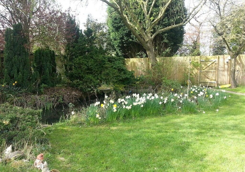 Photo of Outdoor in Moreton Morrell