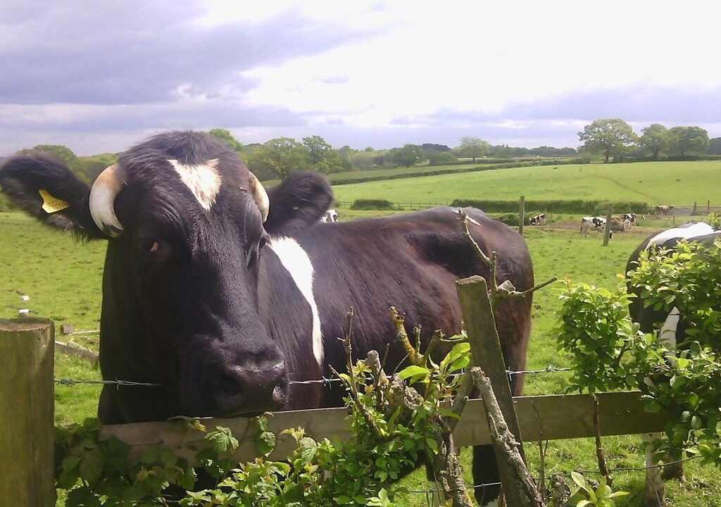 Photo of Outdoor in Moreton Morrell