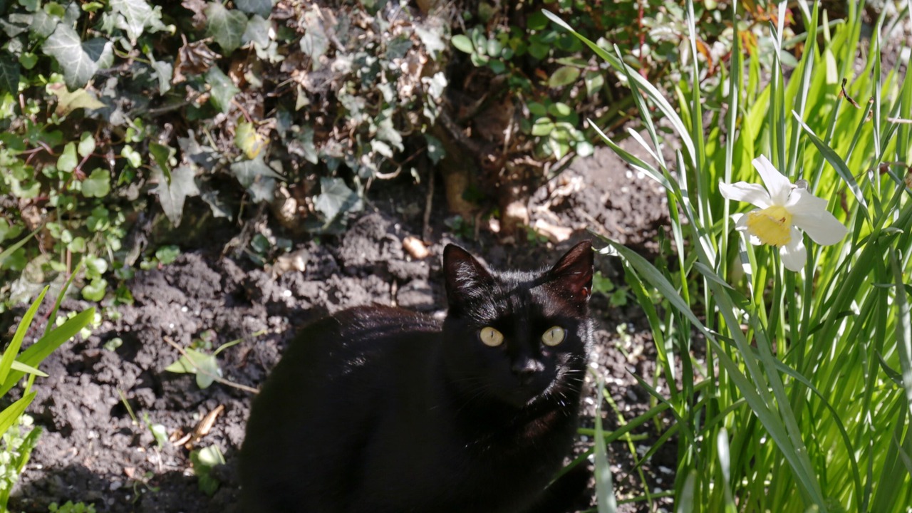 Photo of Outdoor in Welsh Frankton