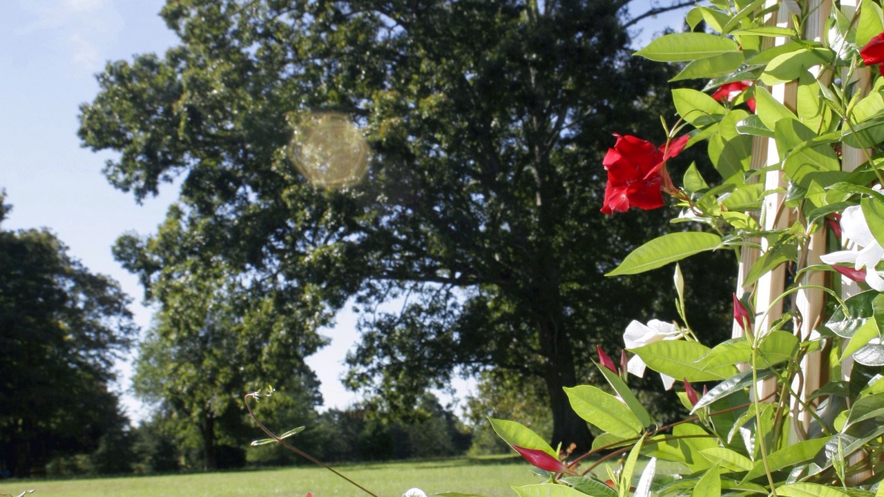 Photo of Outdoor in High Point