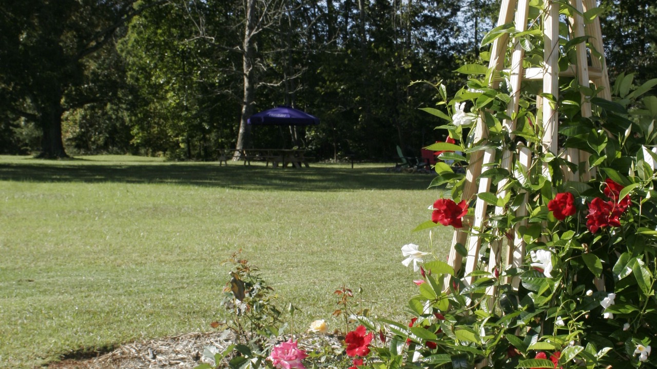 Photo of Outdoor in High Point