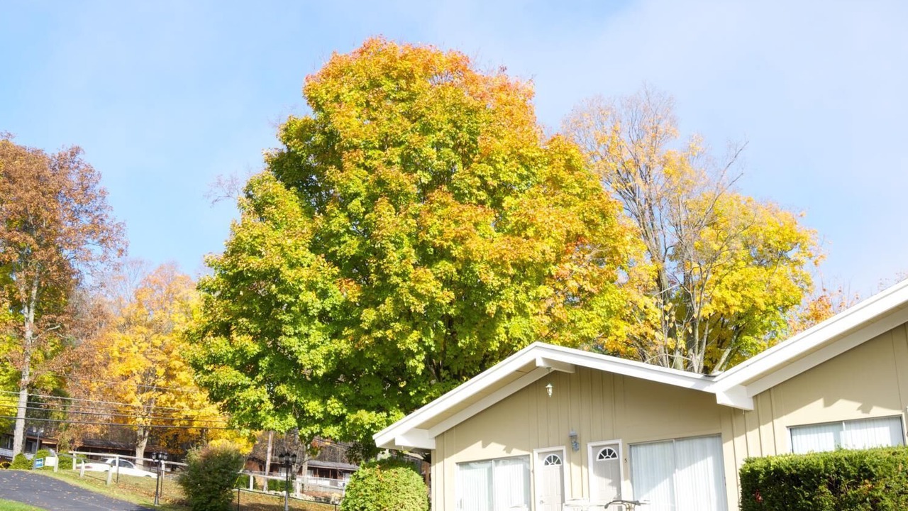 Photo of Outdoor in Lake George