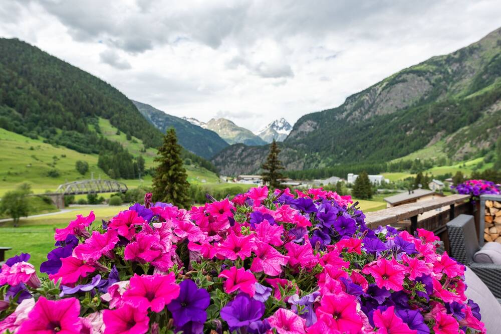 Photo of Patio Balcony in Zernez