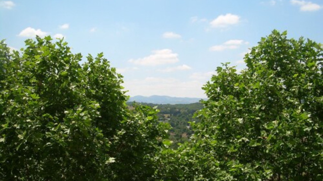 Photo of Others in Francheville Le Bas
