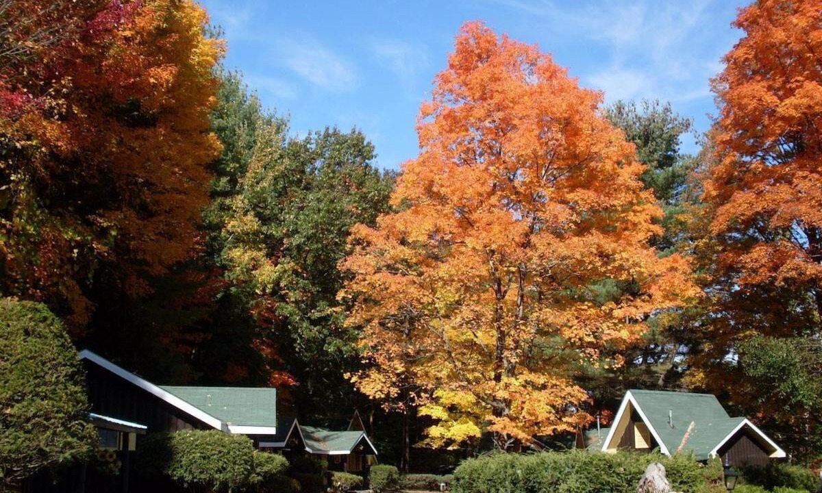 Photo of Outdoor in Lake George