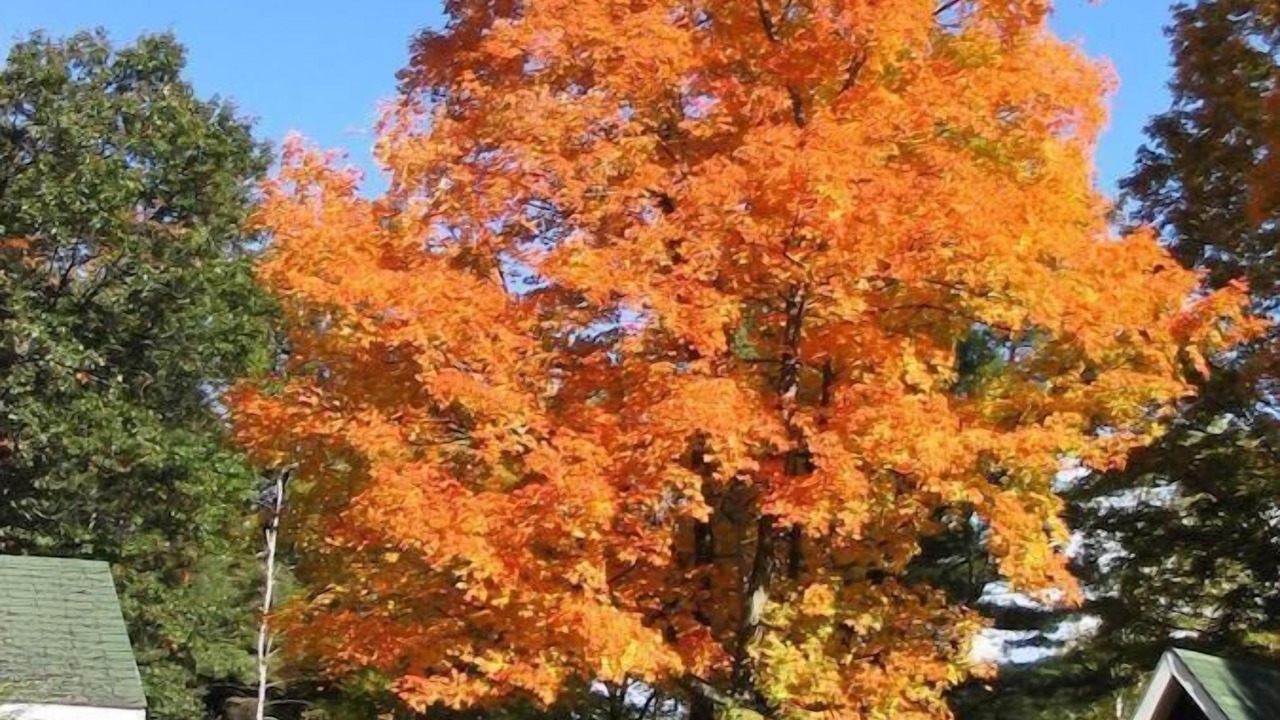 Photo of Outdoor in Lake George