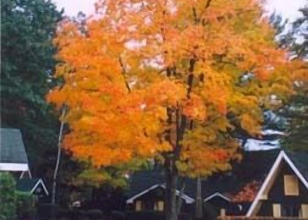 Photo of Outdoor in Lake George