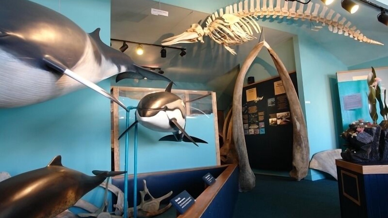 Photo of Others in Bar Harbor