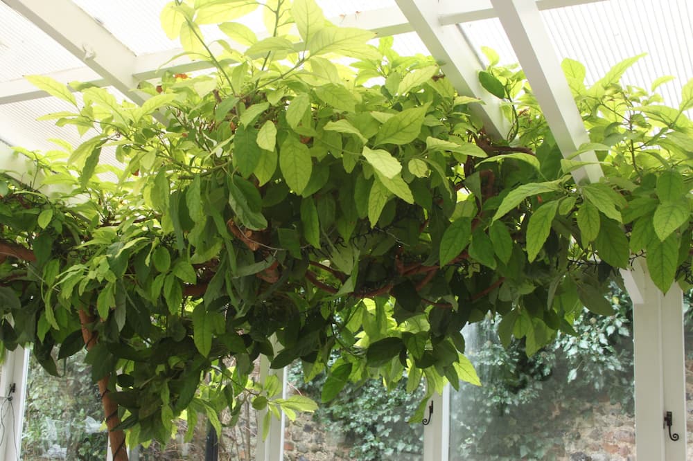 Photo of Outdoor in Saffron Walden