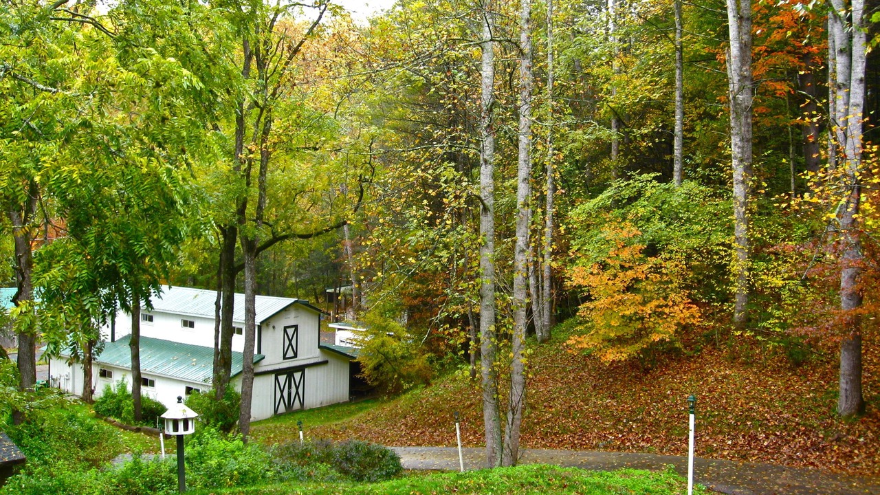 Photo of Outdoor in Boone
