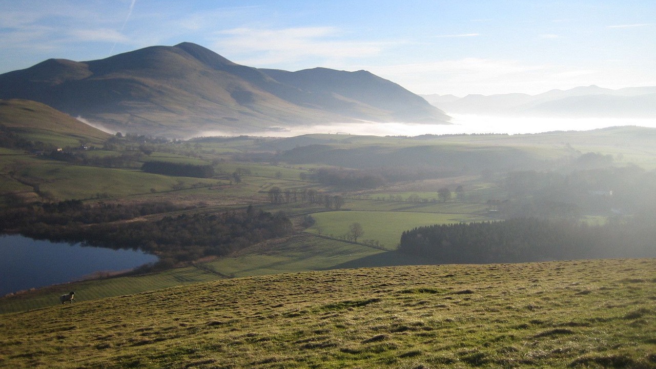 Photo of Others in Wigton