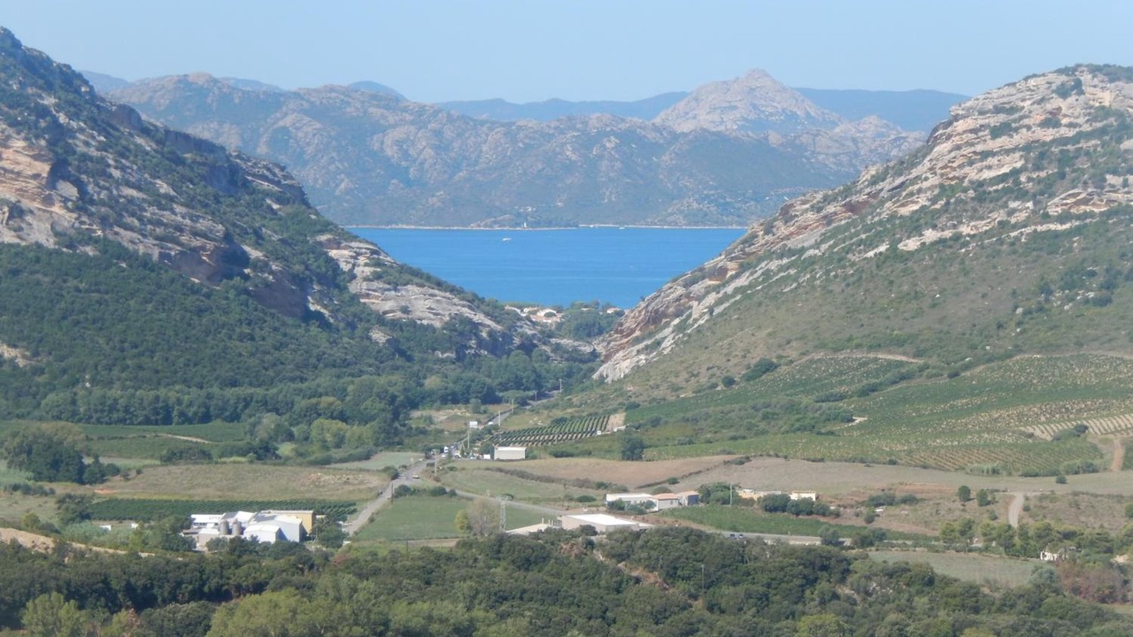 Photo of Outdoor in Patrimonio