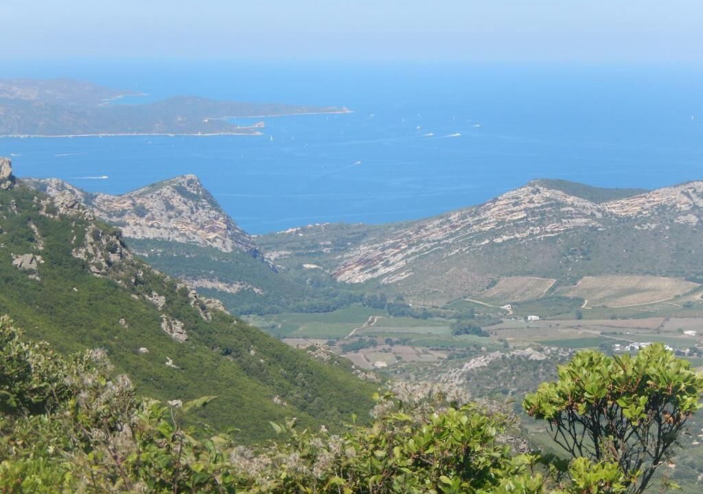 Photo of Outdoor in Patrimonio