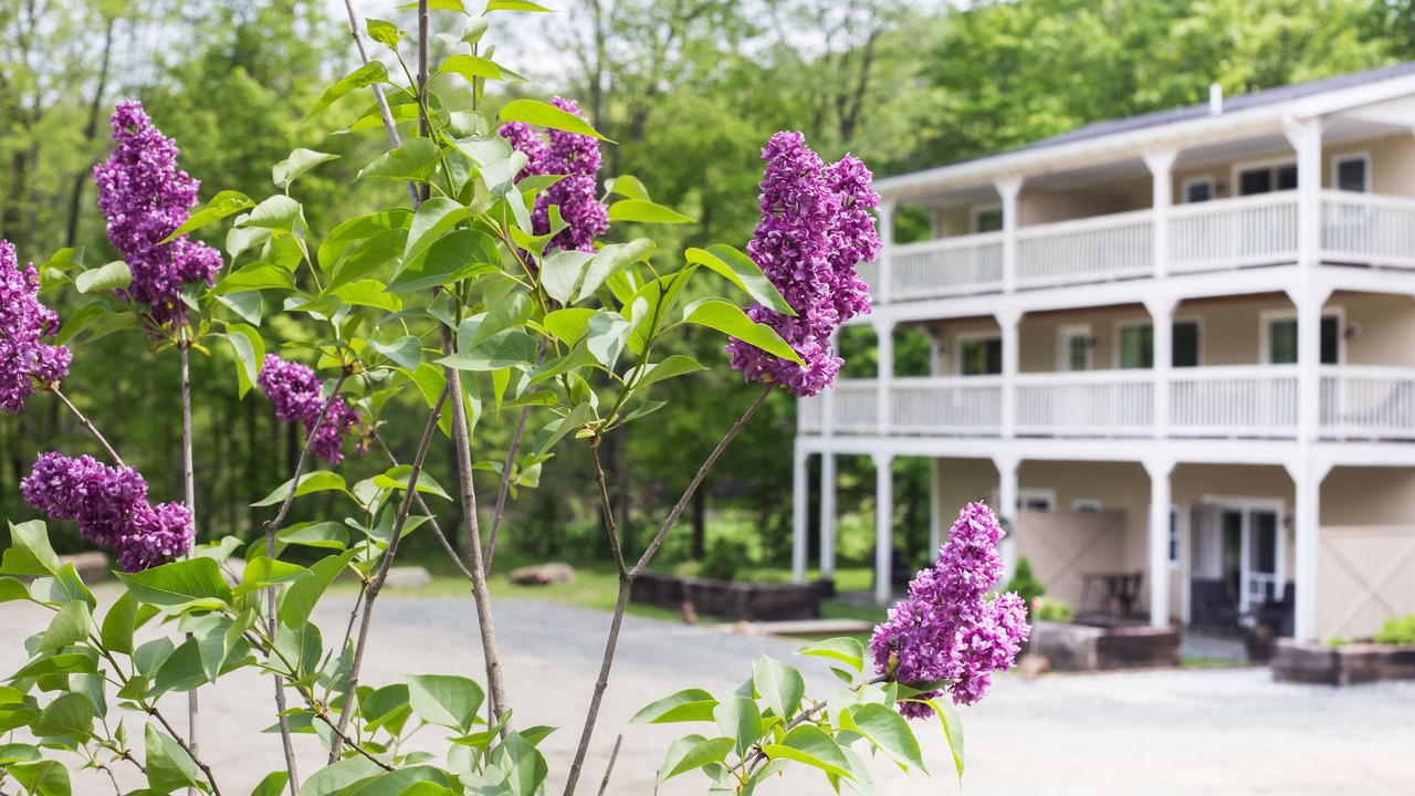 Photo of Outdoor in West Woodstock