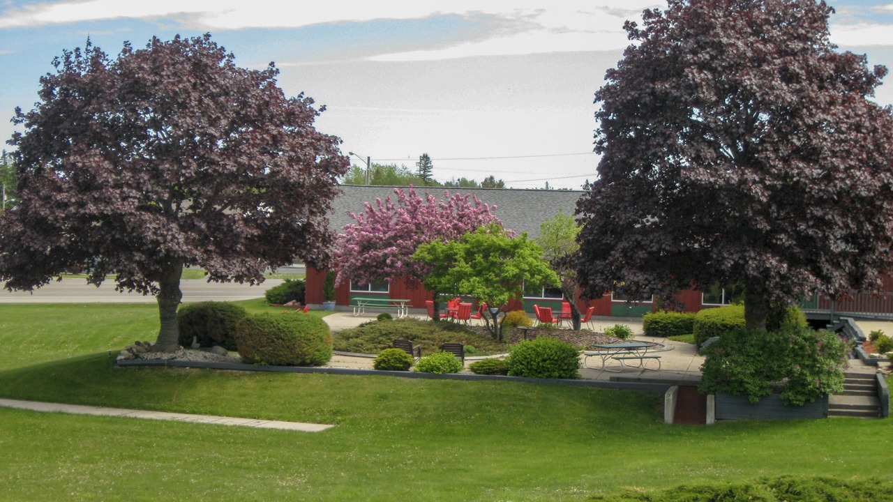Photo of Outdoor in St Ignace